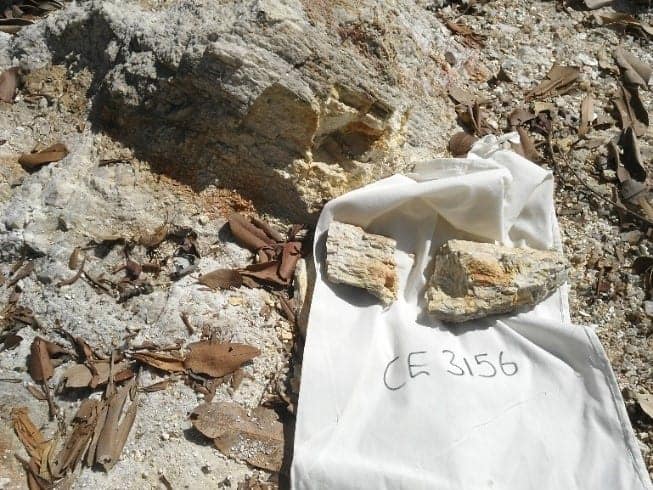 Core Lithium Scraps Ganfeng Lithium Offtake Deal, Shifts to Spot Sales for Finniss Mine