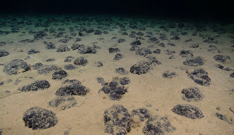High Seas Treaty to Intensify Opposition to Seabed Mining