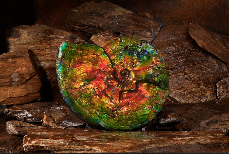 KORITE Acquisition Creates World's Only Mine-to-Market Ammolite Producer